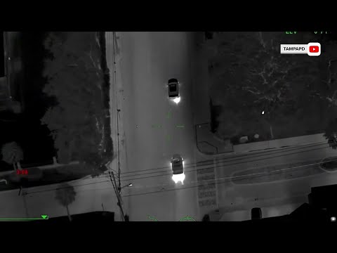 4 Dead, 11 Injured After Car Plows into Crowd in Tampa