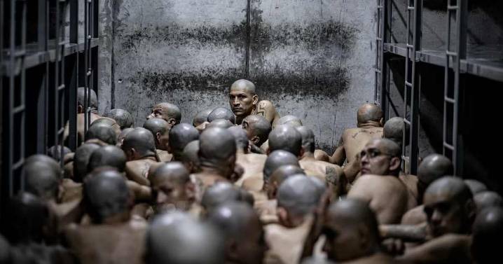 Como el escándalo de Abu Ghraib: denuncian que venezolanos enviados por EE.UU. a El Salvador sufrieron tortura sistemática