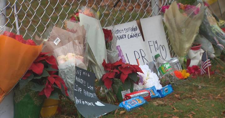 13-year-old boy dies after hitting car while on electric dirt bike in Stoneham