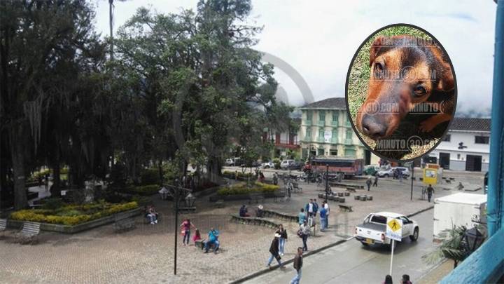 A ‘Fortuna’ le dieron un machetazo en la carita: en Sonsón buscan a su agresor