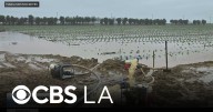 Ventura County farm workers concerned as more rain heads to already drenched fields