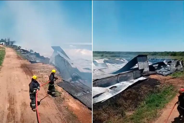 Un incendio arrasó un galpón avícola en el norte entrerriano: había 38.000 pollos