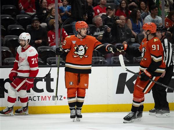 Troy Terry scores twice as Ducks beat Red Wings 5