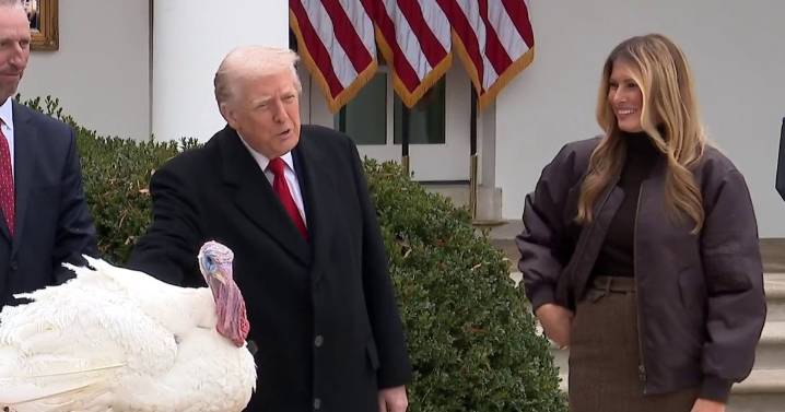 Trump pardons turkey Gobble for Thanksgiving