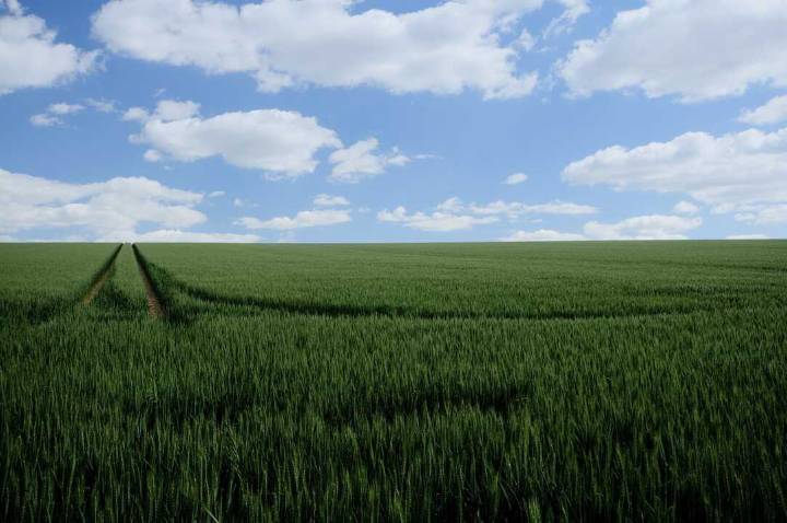 La Eurocámara y los 27 acuerdan simplificar condiciones para acceder a las ayudas de la PAC