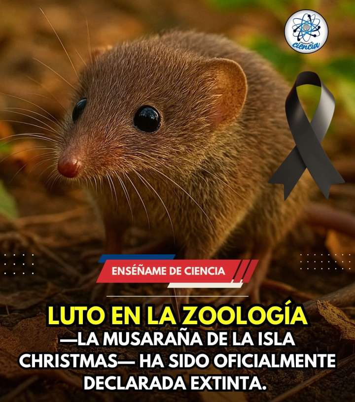LUTO EN LA ZOOLOGIA