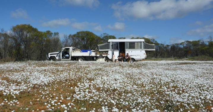 Grey nomad travel tips to avoid summer and Christmas crowds