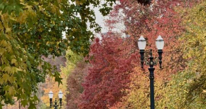 Rain, wind remain as severe weather threat fades in Portland