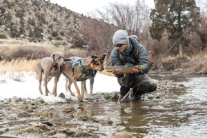 Local man’s efforts rescuing a dog led to a viral video. Now he’s the host of a TV show
