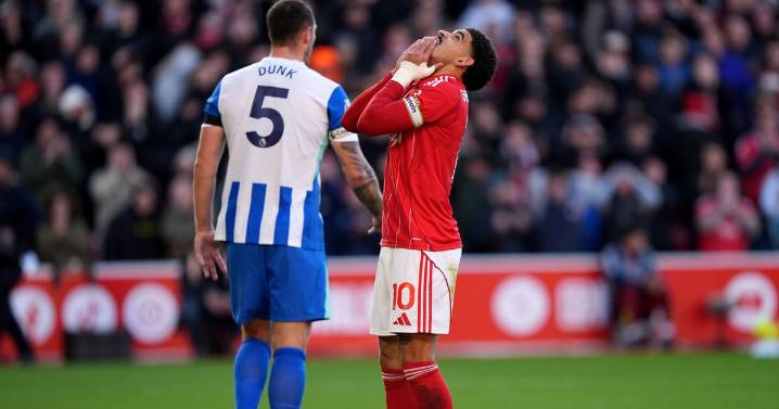 Nottingham Forest player ratings vs Brighton - mixed marks as Reds' unbeaten run ends