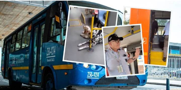 Video viral de conductor del Sitp que exige bajar a pasajero con perros genera controversia por trato a animales