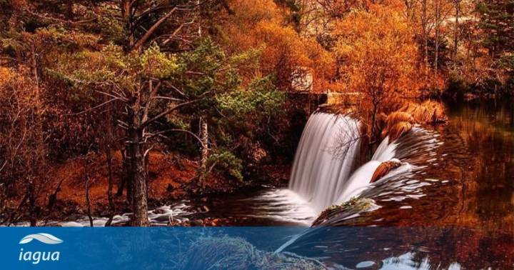 Agua y bosques en otoño. La planificación del agua debe tener en cuenta la economía agroforestal