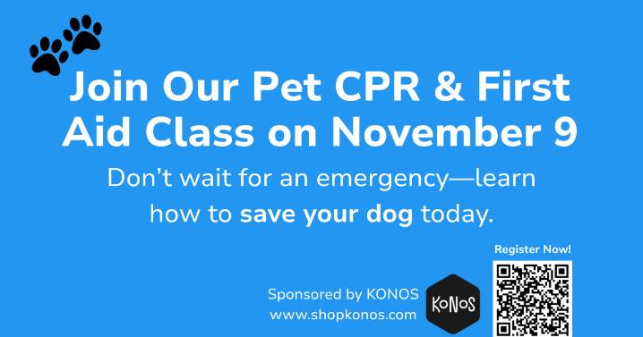Be Ready for Any Pet Emergency