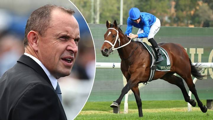 'Through the roof': Waller's gun colt primed for $2m race