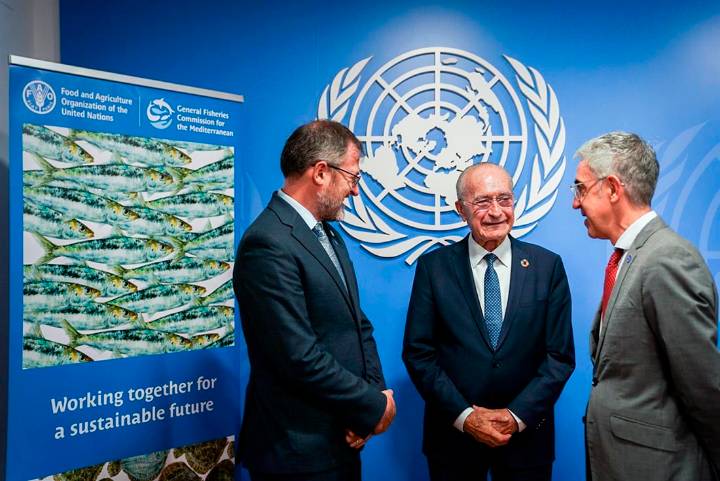 De la Torre visita la oficina subregional de la Comisión General de Pesca del Mediterráneo