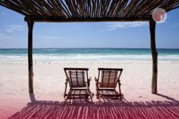 ¿El renacer de Tulúm?: Autoridades regresan el acceso libre a las playas