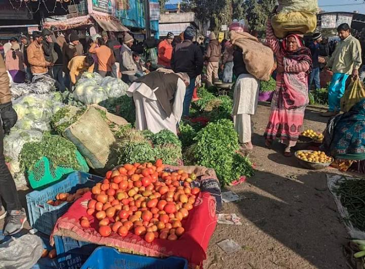 Indore News: Vegetable Prices Go North As Rain, Cold Hit Crops