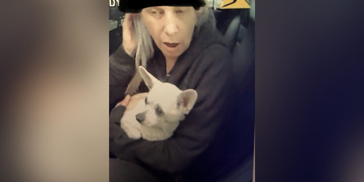 LIVE: Deputies searching for escaped prisoner in Greenville Co., officials say