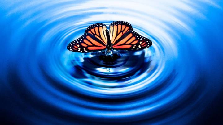 8 Most Exciting Upcoming Thriller TV Shows Based On Books