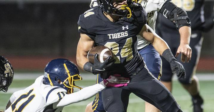 Tigers take care of business in opener