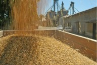 Histórico. Una herramienta de financiamiento para el agro superó los US$1900 millones