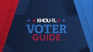 Voting guide for November 4 elections