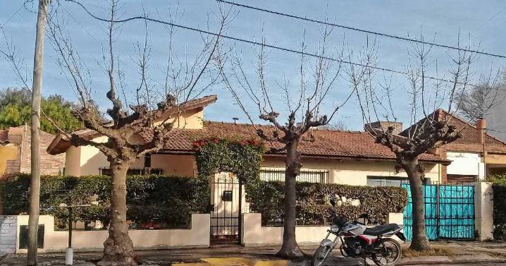 Río Colorado: el arbolado urbano es un bien público y un compromiso de todos