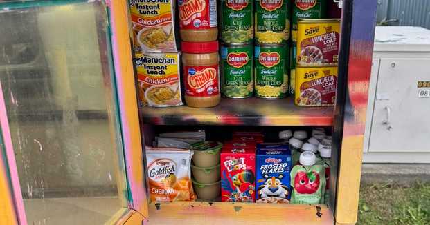 Evansville's resource boxes filled with food by Young & Established