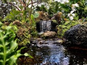 Deerfield Beach Arboretum offers free entry - South Florida on the Cheap