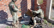 Aseguran militares 6 artefactos explosivos improvisados en Jiquilpan, Michoacán