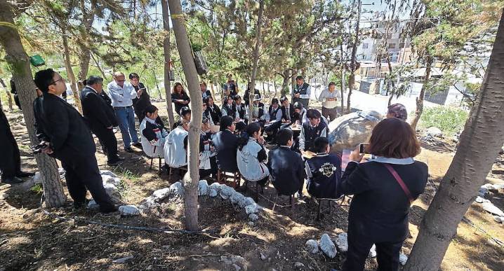 Colegio de Socabaya, en Arequipa: El descampado que se convirtió en bosque