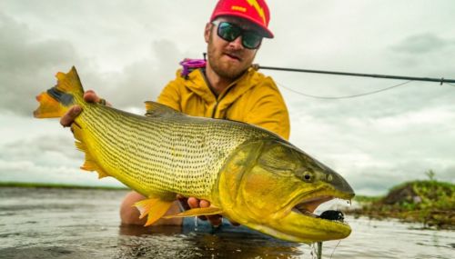 El Ejecutivo vetó la ley que declara Monumento Natural al "Dorado"