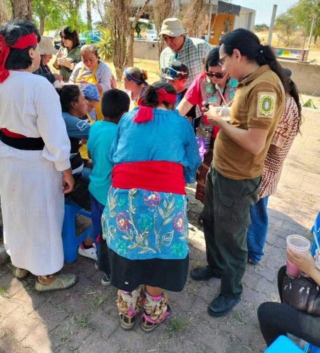 El bosque se activa con el Cobos Fest