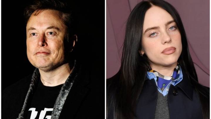 Elon Musk Insults Billie Eilish Amid Fight: She's Not the Smartest