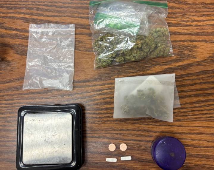 Fentress County authorities seize drugs, arrest wanted fugitive