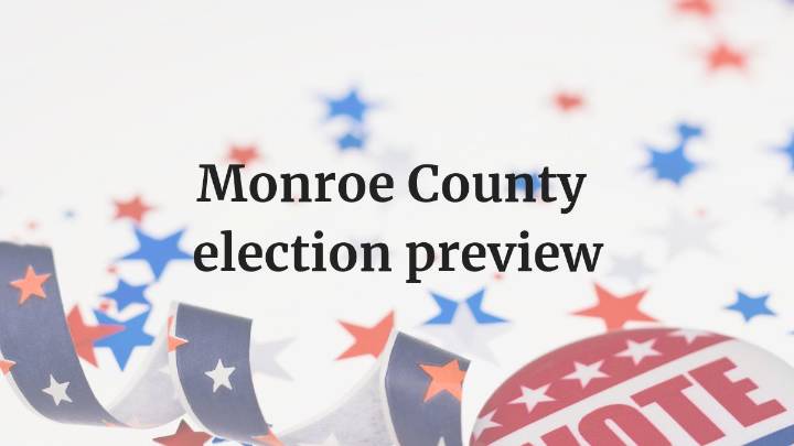 See what races and millages are on Monroe County's Nov. 4 ballot