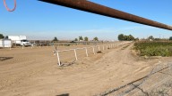 FBI raid at Idaho horse track shows how immigration is a top focus across law enforcement