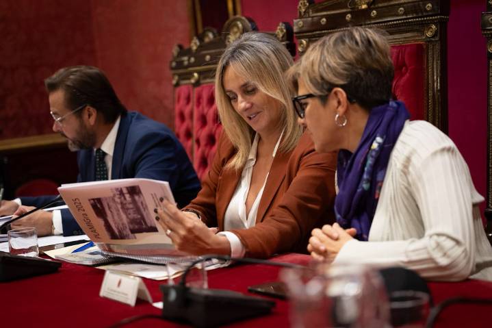 Granada presenta el PLAMIGra, un plan estratégico para prevenir y actuar ante riesgos de inundaciones