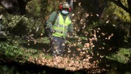Everyone hates gas-powered leaf blowers. So why is it so hard to ban them?