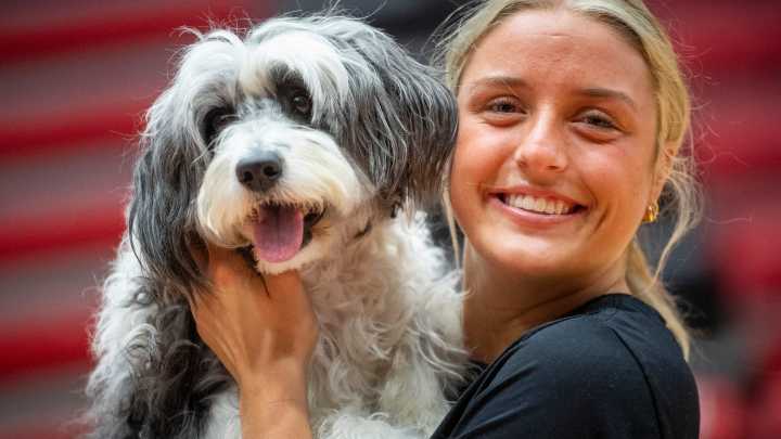 Indiana volleyball service dog Kona Bear brings happiness, wellness