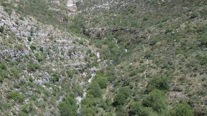 Sierra de Zapalinamé, bajo riesgo inmediato; advierte ecología peligro de incendios