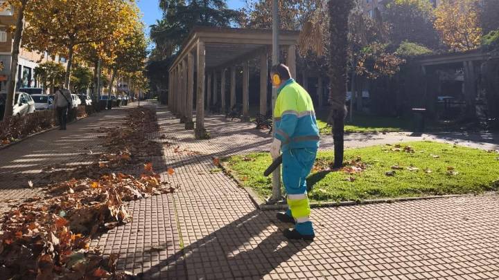 Los 50.000 árboles de Cáceres no dan tregua y 25 operarios de limpieza de hojas trabajan 18 horas al día para mantener las calles limpias