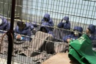 Aumentan muertes de palestinos en prisiones de Israel