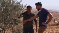 Palestinian olive pickers attacked over and over
