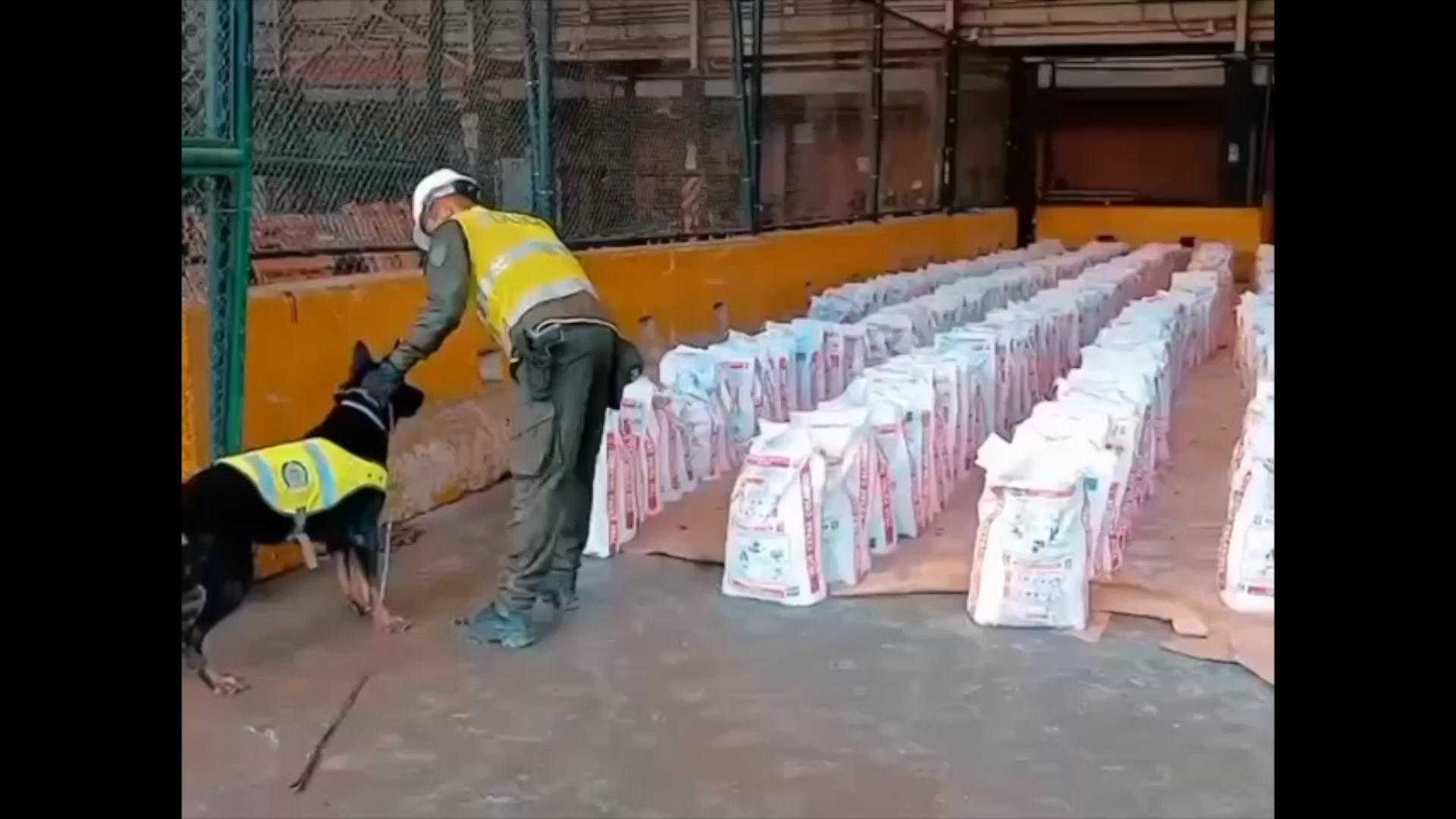 Colombian police says shipment of cocaine seized in a Pacific port is largest in over a decade