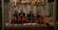 I'm A Celebrity fans work out result of next vote 