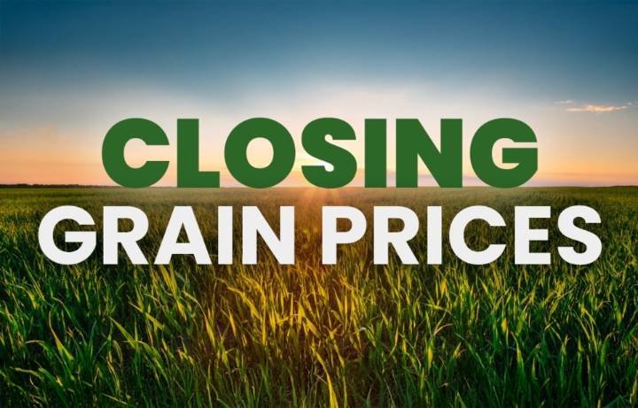 Closing grain prices Friday, November 7