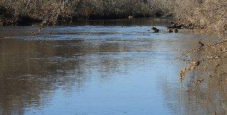 Contact advisory lifted for portion of Pearl River experiencing excessive algae growth