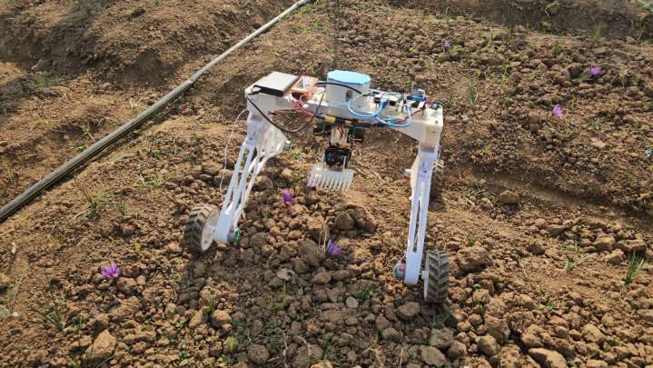 Robots to Ease Farmer Burden in Pampore’s Saffron Fields