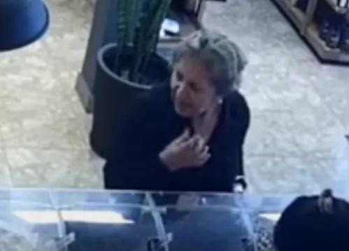 Robó en un local del centro y quedó registrada por las cámaras